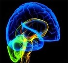 Yapay Sinir Ağlarına Giriş